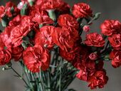 С 23 февраля 2022! Открытки и поздравления с мужским днем