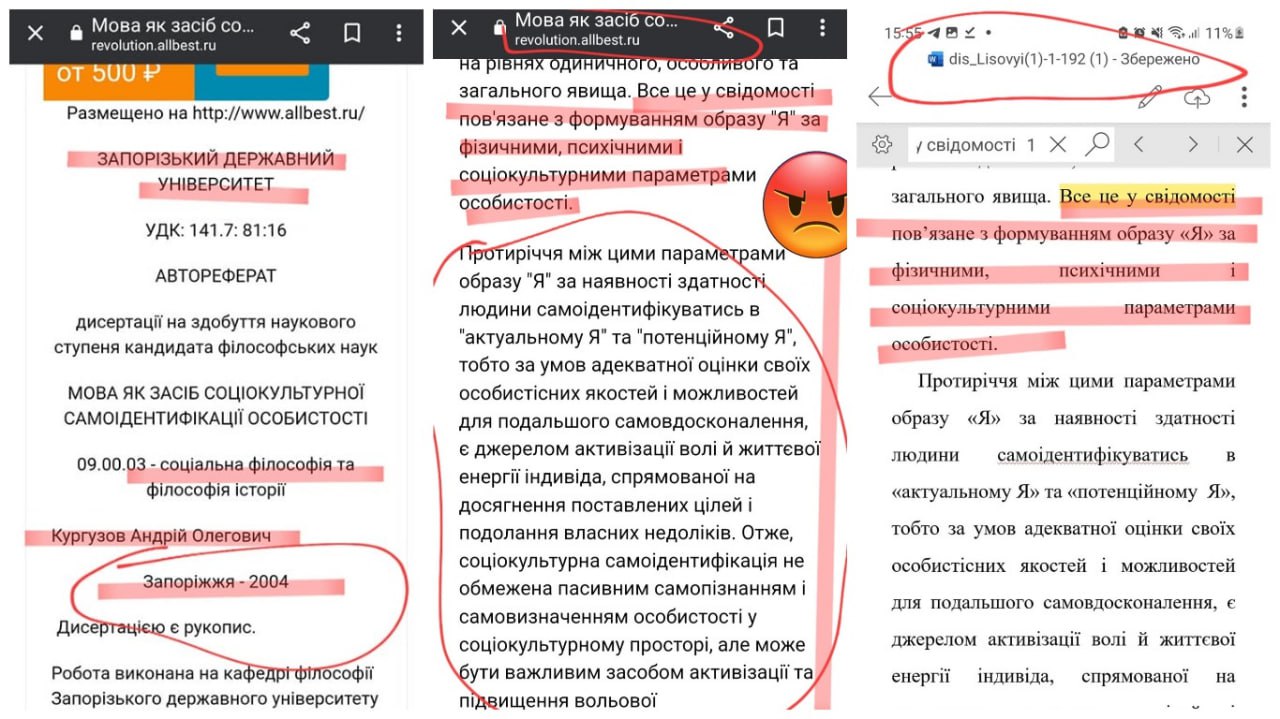 Шматки вкраденого тексту, фото 2