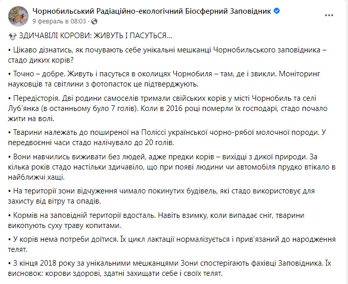 Скриншот из Фейсбука Чернобыльского заповедника