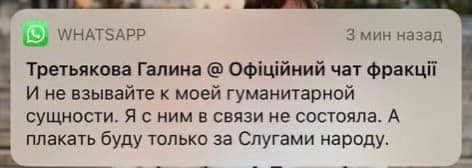 Сообщение от Третьяковой в чате слуги народа