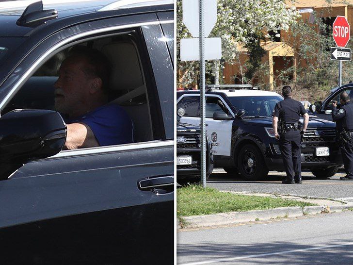 Шварценеггер сбил велосипедистку