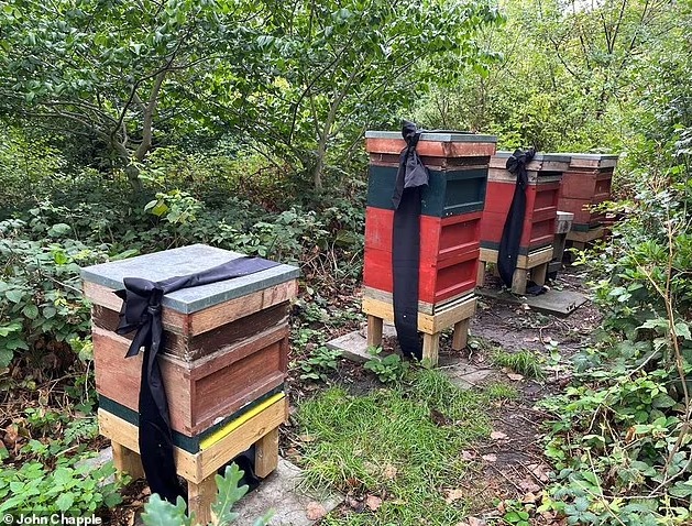 Ульи с траурными лентами