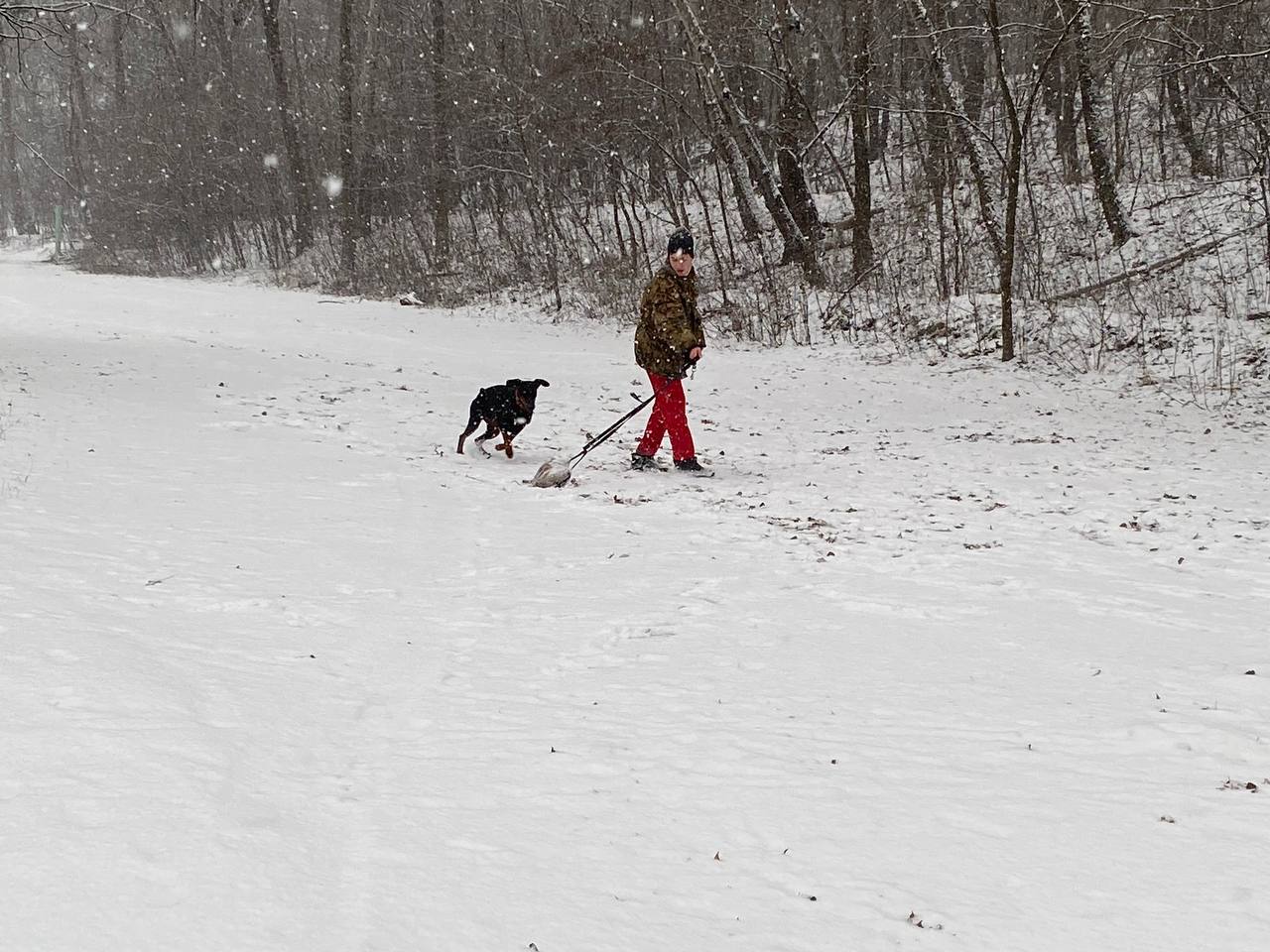 снег в Киеве