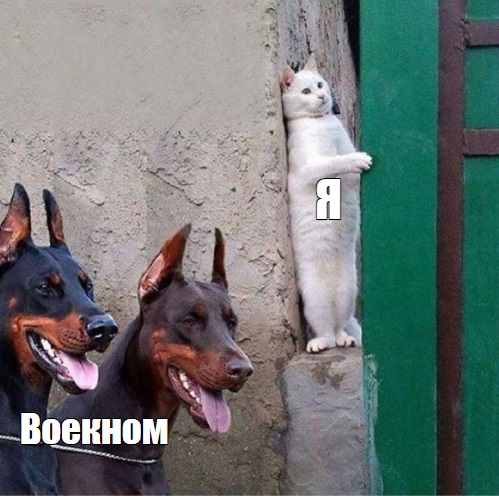 Фото: medialeaks.ru