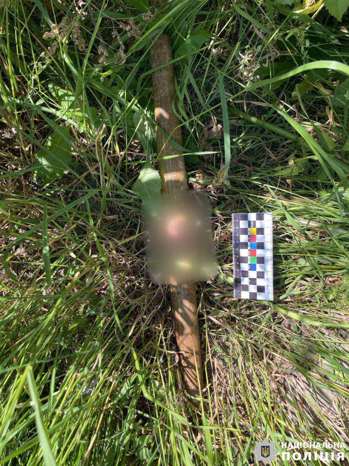 В Винницкой области&nbsp;48-летняя женщина во время спора нанесла тяжкие телесные повреждения скалкой своему мужу